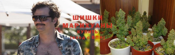 mix Гусиноозёрск