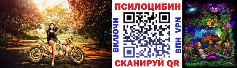 Псилоцибиновые грибы GOLDEN TEACHER  нарко площадка как зайти  Павловск 
